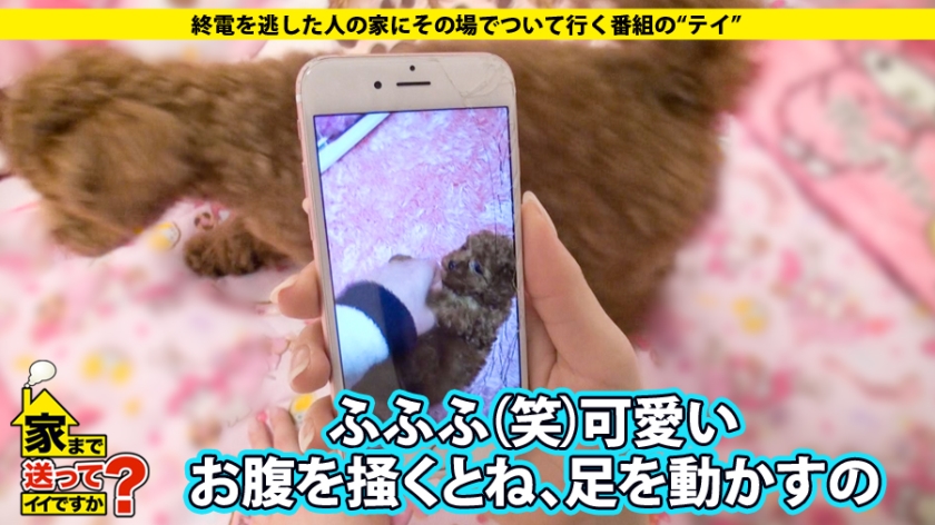 277DCV-013 家まで送ってイイですか？ case.13 まゆ○は神！！前髪の乱れを許さないド変態パイパンメイドは躾け済み？？愛犬りーちゃんとの7畳一間共同生活 (4)