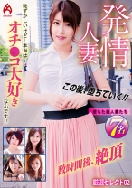 016DHT-0913の女優は斎藤ミオリ、羽田璃子ほか｜発情人妻 恥ずかしいけど…本当は…オチ●コ大好きなんです！！厳選セレクト 02