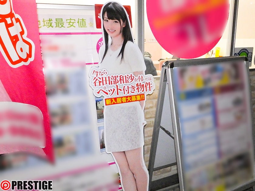 谷田部和沙 - ABP-426 変態ペット付き不動産 谷田部和沙付き賃貸物件 物件File.06 (1)